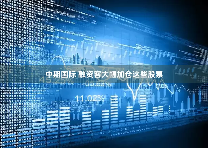中期国际 融资客大幅加仓这些股票