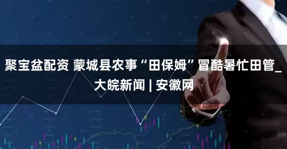 聚宝盆配资 蒙城县农事“田保姆”冒酷暑忙田管_大皖新闻 | 安徽网