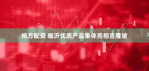 杨方配资 临沂优质产品集体亮相吉隆坡